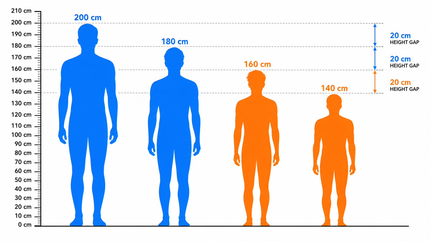 Height comparison chart showing different heights on a shared baseline