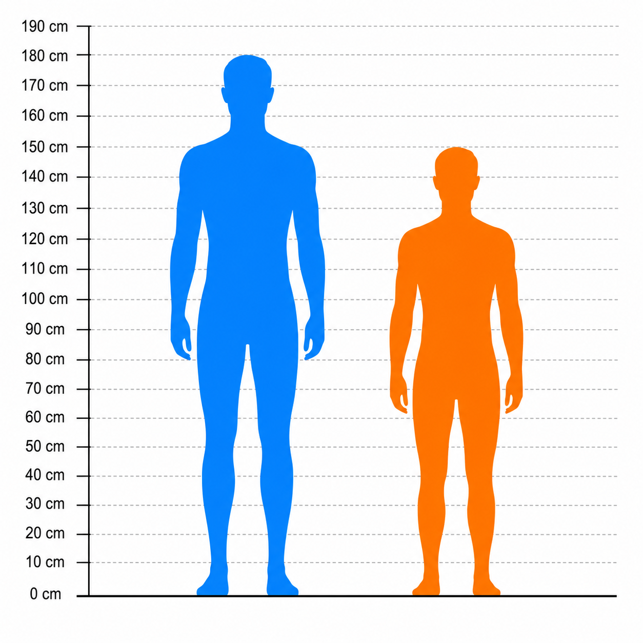 Height comparison use case with friends and family on one baseline